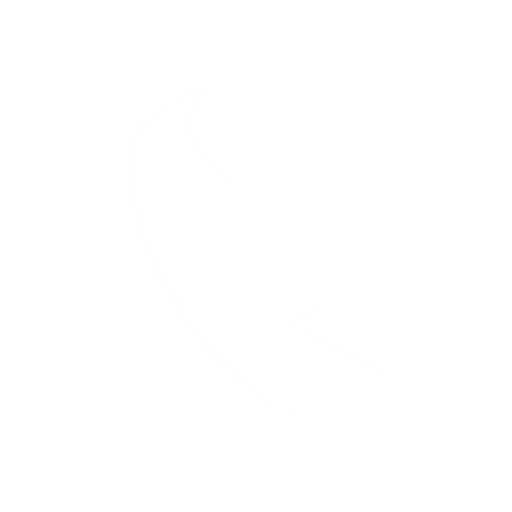 Ringing Phone